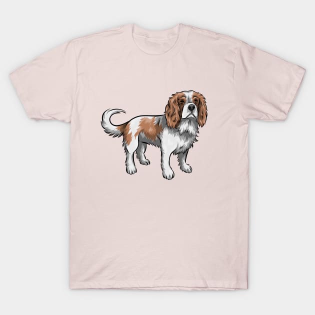 Cavalier King Charles Spaniel Dog | Blenheim T-Shirt by Shirin Illustration